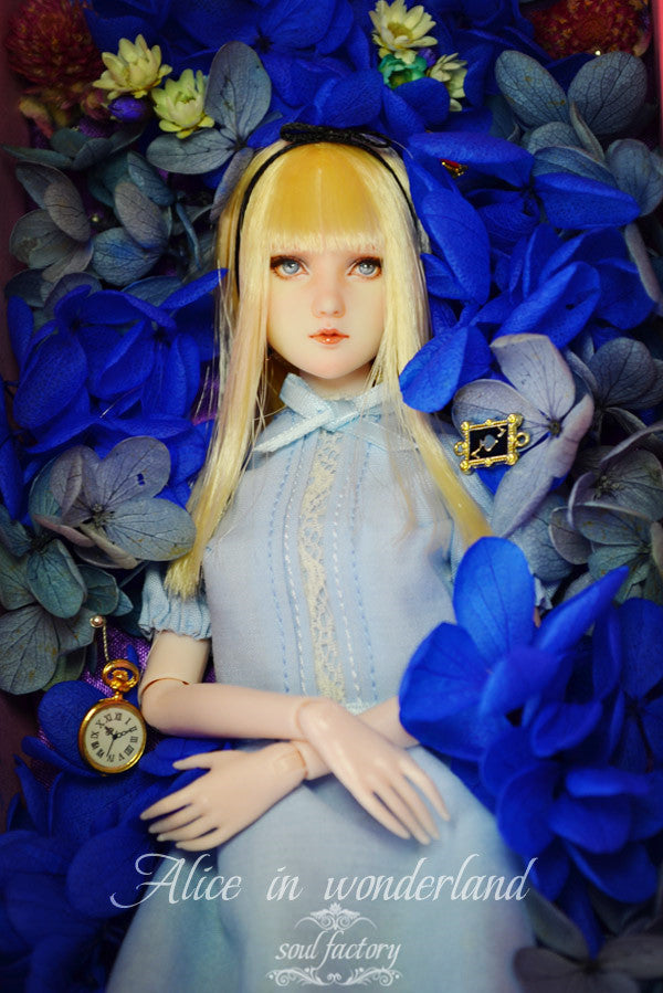 【 DISPLAY ONLY】Hand-Painted Obitsu Doll Faceup | Ace Alice